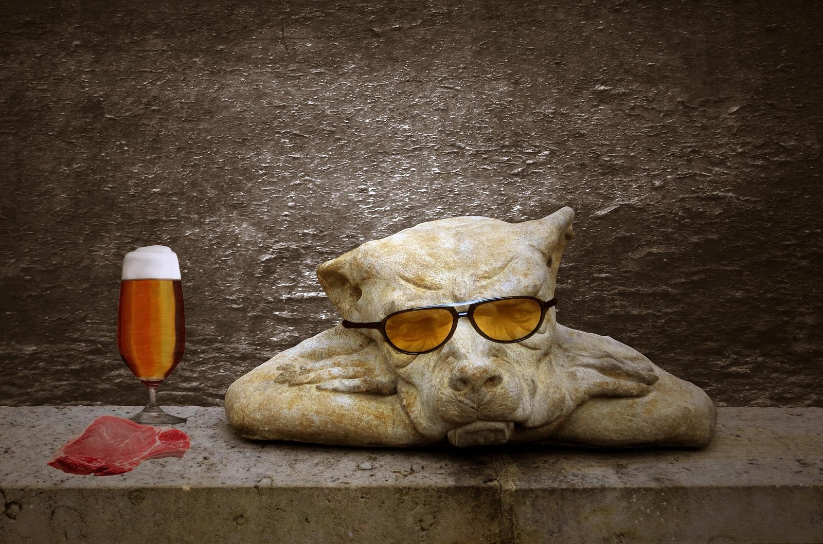 Perro aburrido de su comida